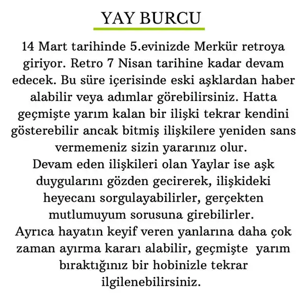 mer ret22 (10).webp