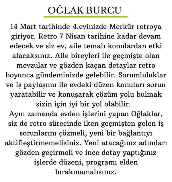 mer ret22 (11).webp