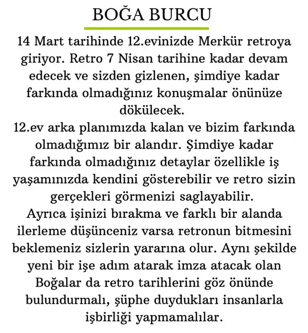 mer ret22 (3).webp