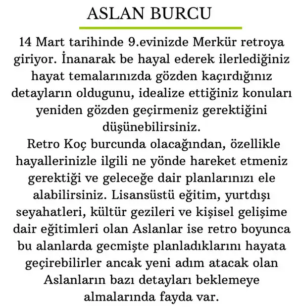 mer ret22 (6).webp