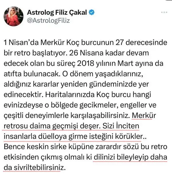 mer ret3 (1).webp