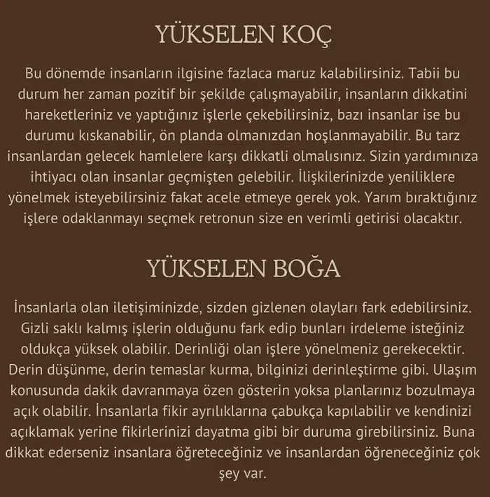 mer ret3 (2).webp