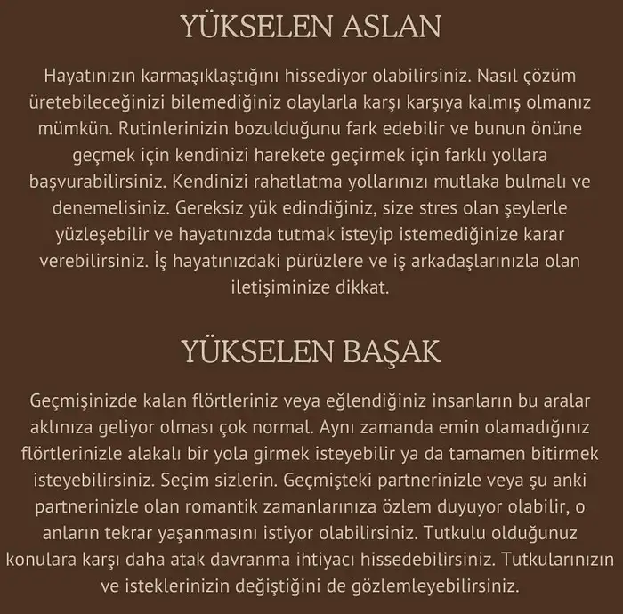mer ret3 (5).webp