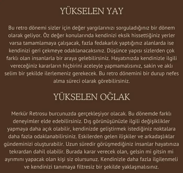mer ret3 (7).webp