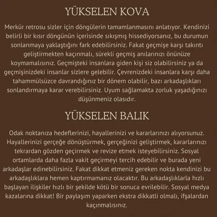 mer ret3 (8).webp