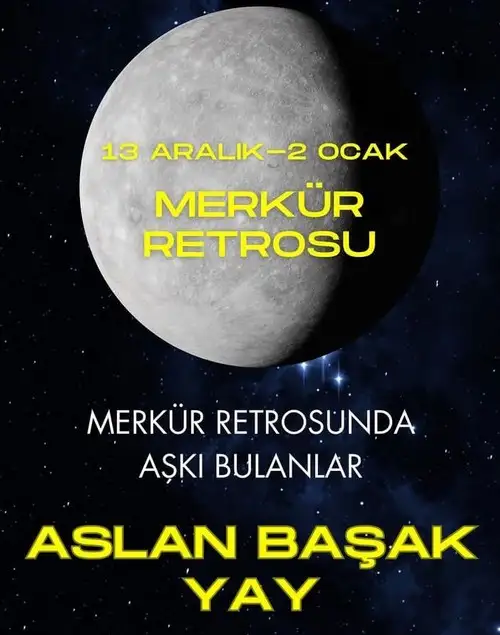 mer ret4 (1).webp