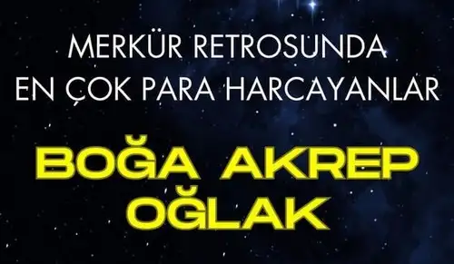 mer ret4 (4).webp