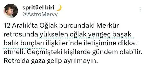 mer ret44.webp