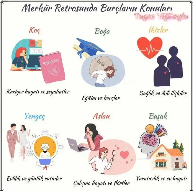 mer ret5 (1).webp