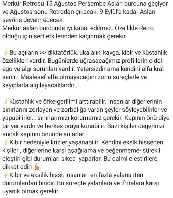 mer ret5 (2).webp