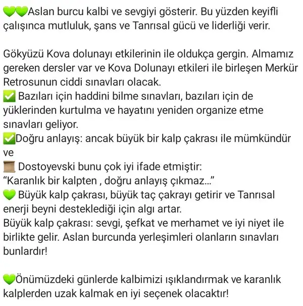mer ret5 (3).webp