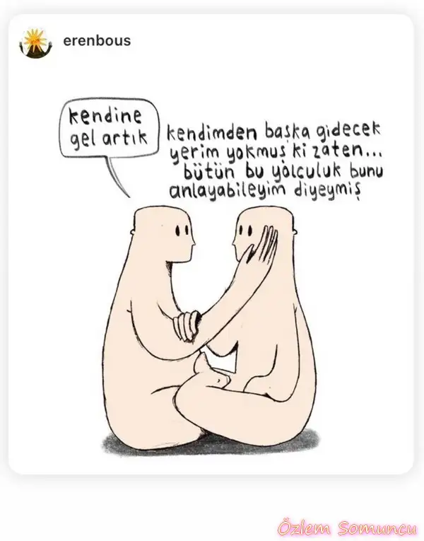 mer ret55.webp