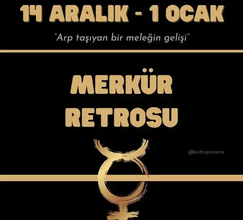 mer ret6 (1).webp