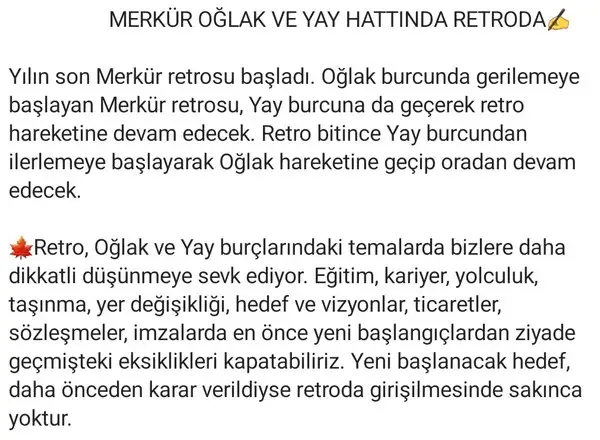 mer ret6 (2).webp