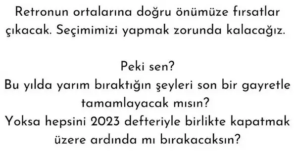 mer ret6 (3).webp