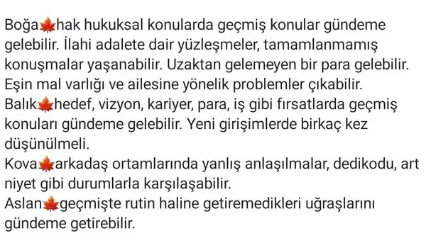 mer ret6 (4) - Kopya.webp