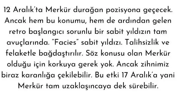 mer ret6 (5).webp
