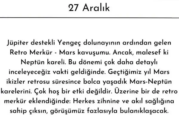mer ret6 (8).webp