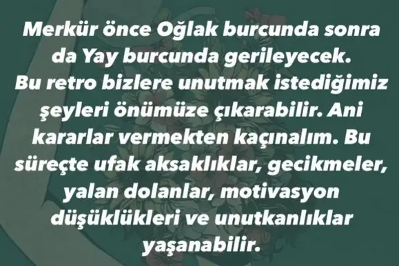 mer ret8 (3).webp