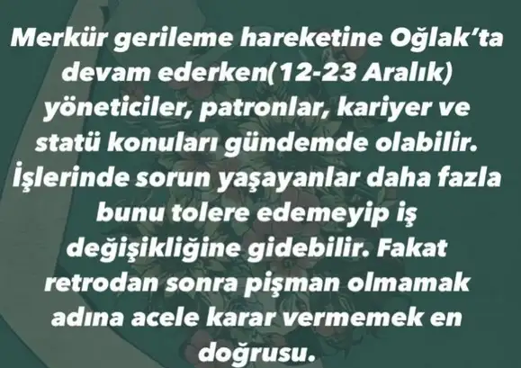 mer ret8 (4).webp