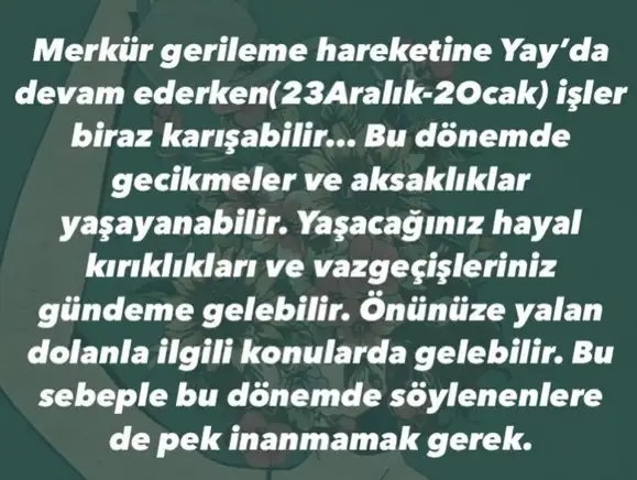 mer ret8 (5).webp