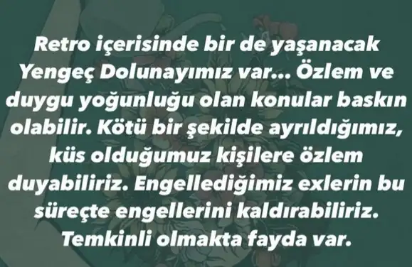 mer ret8 (6).webp