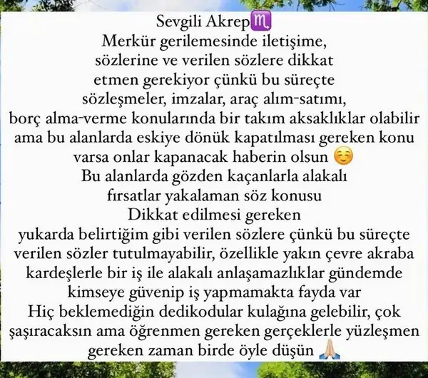mer ret9 (10).webp