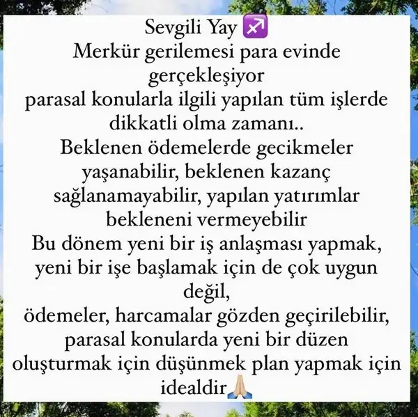 mer ret9 (11).webp