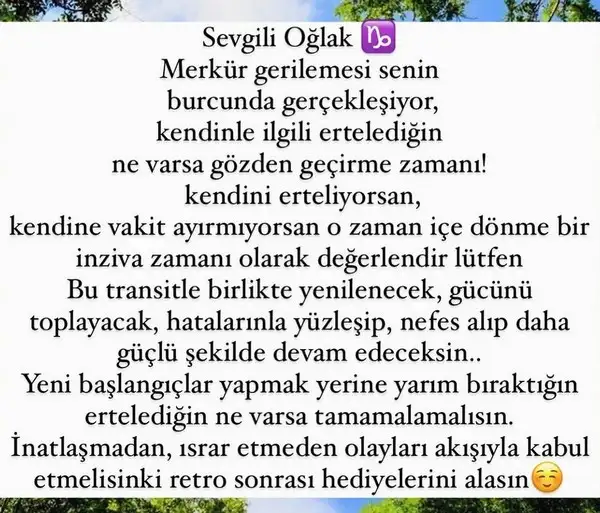 mer ret9 (12).webp