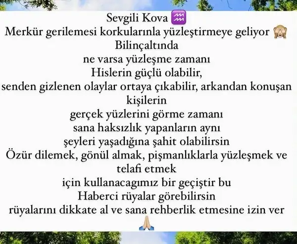 mer ret9 (13).webp
