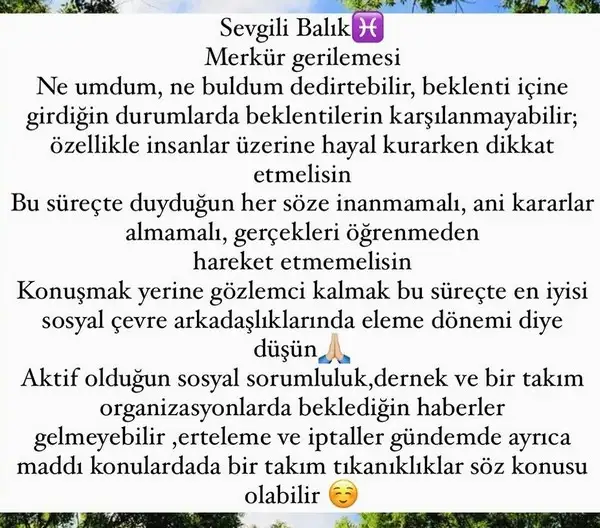 mer ret9 (14).webp