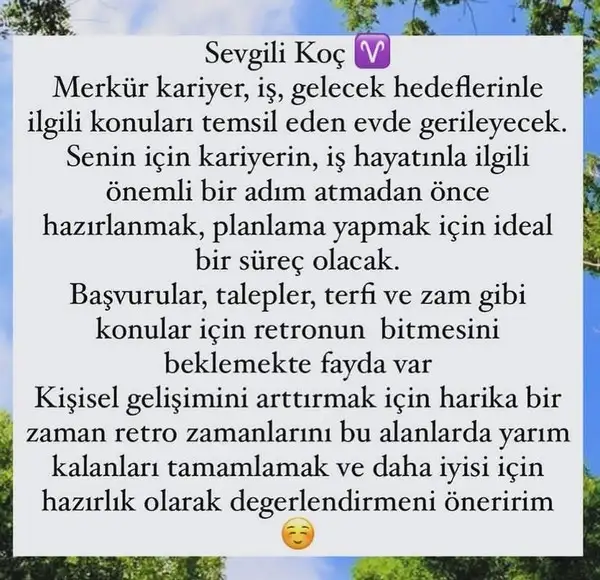 mer ret9 (3).webp