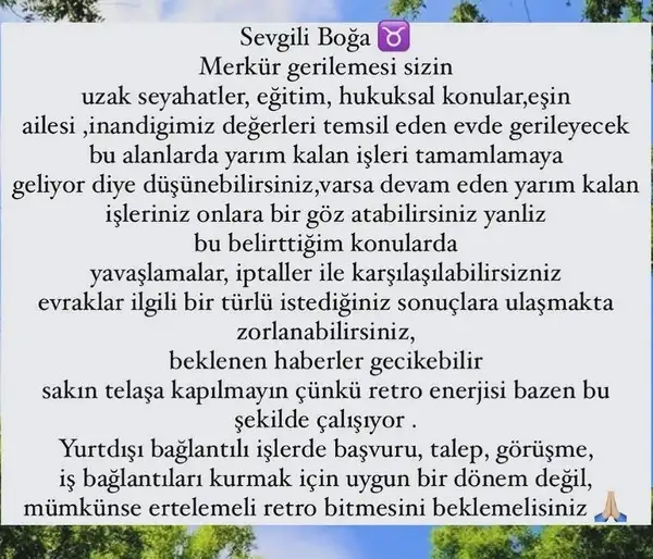 mer ret9 (4).webp
