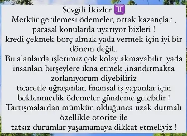 mer ret9 (5).webp