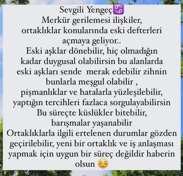 mer ret9 (6).webp