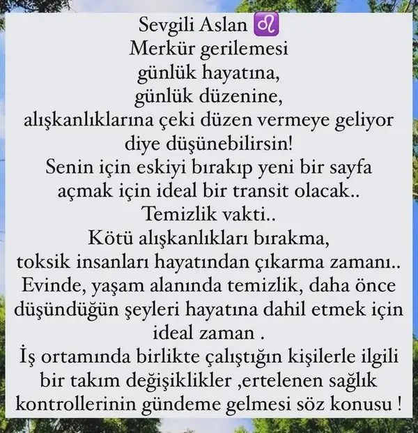 mer ret9 (7).webp
