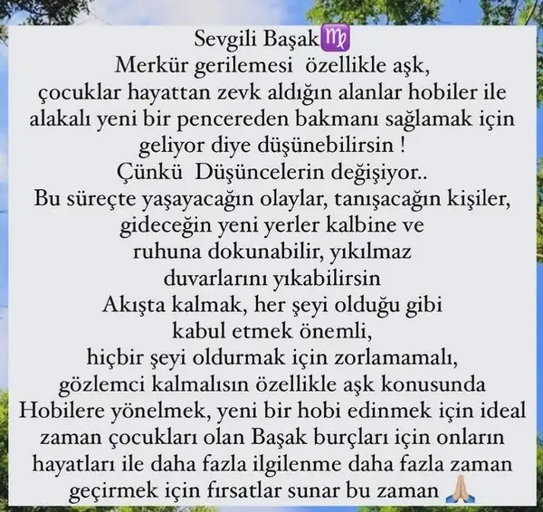 mer ret9 (8).webp