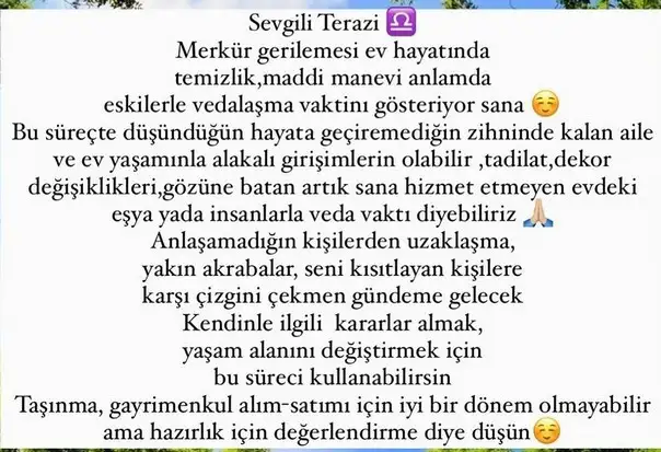 mer ret9 (9).webp