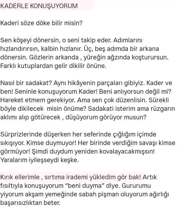 mer ter1 (2).webp