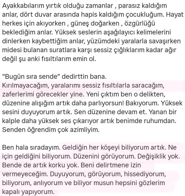 mer ter1 (3).webp