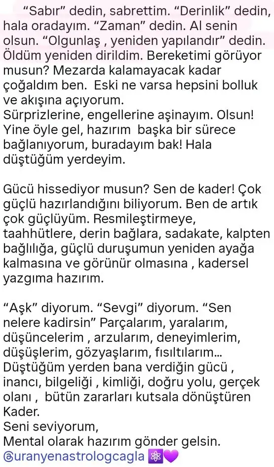 mer ter1 (5).webp