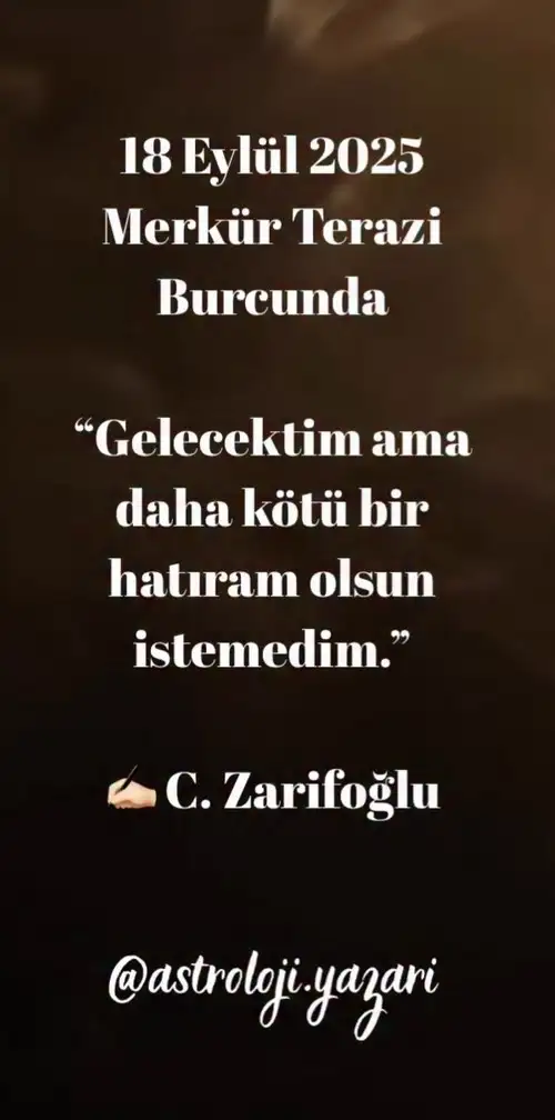 mer ter2 (1).webp
