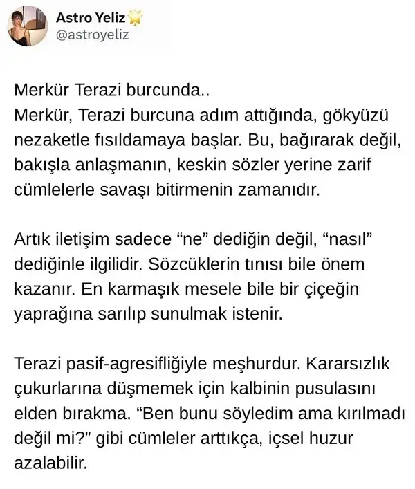 mer ter32 (1).webp
