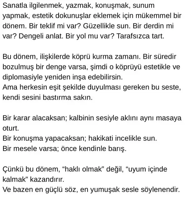 mer ter32 (2).webp