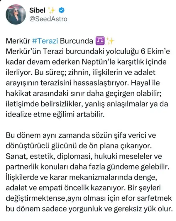 mer ter43.webp