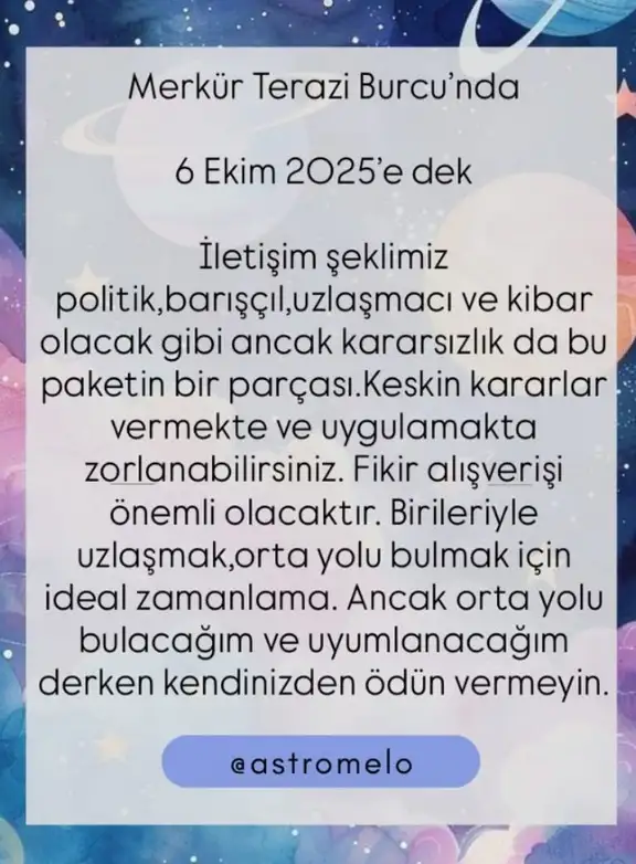 mer ter6.webp