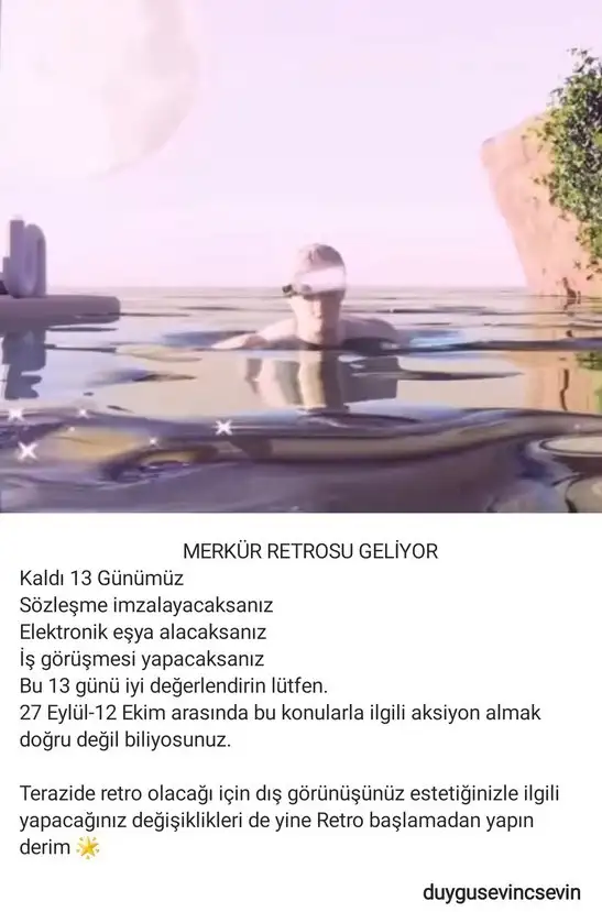 mer.webp