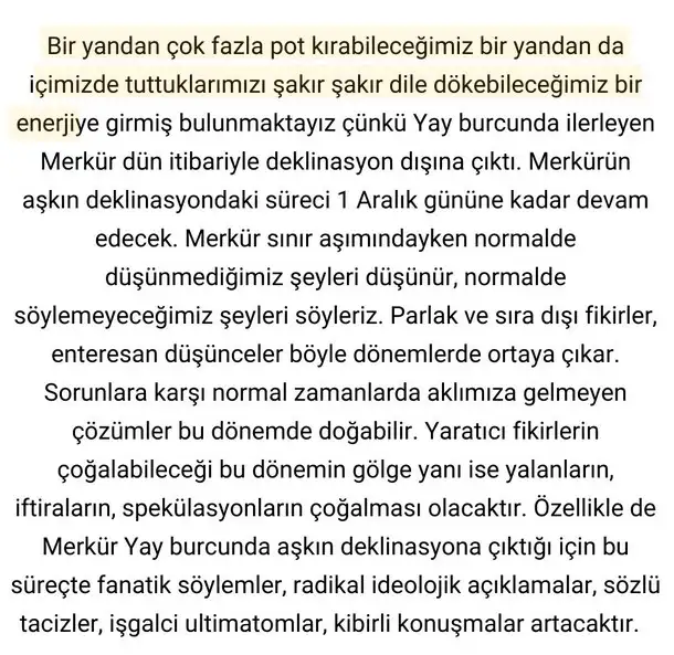 mer yay11 (2).webp