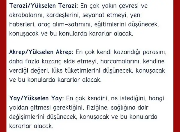 mer yay5 (3).webp