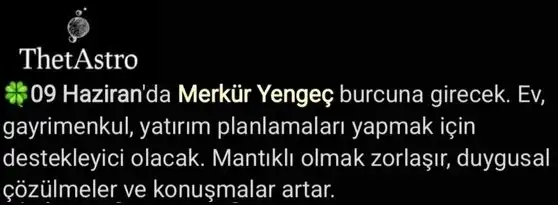 mer yeng.webp